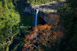 DJI_20260625073159_0130_D_copy_35443
