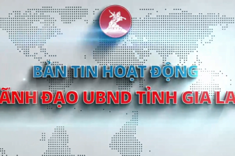 Chỉ đạo điều hành nổi bật của tỉnh trong tuần