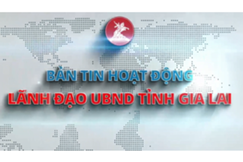 Bản tin tuần 1 tháng 9/2026
