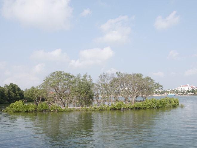 Bình Định: Lo mất kế sinh nhai, người dân phản đối hoạt động nạo vét cát  - ảnh 4