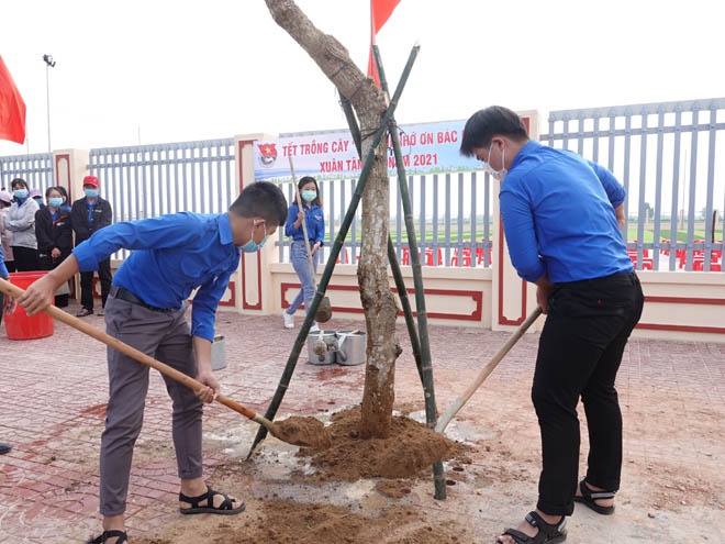 Kêu gọi mỗi đoàn viên, thanh niên  Bình Định trồng và chăm sóc 1 cây xanh - ảnh 3