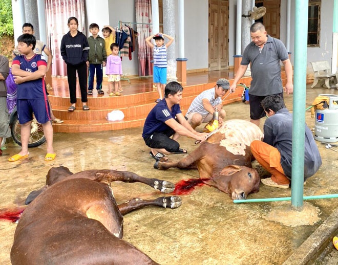 Bình Định: Bão số 10 gây sạt lở, nhà quản lý hồ thủy điện bị cuốn trôi - ảnh 3