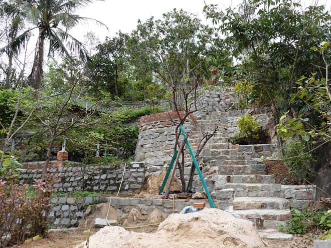 Nguyên Chủ tịch UBMTTQ Việt Nam tỉnh Bình Định bị phạt 4 triệu đồng vì chuyển đổi trái phép đất rừng - ảnh 2