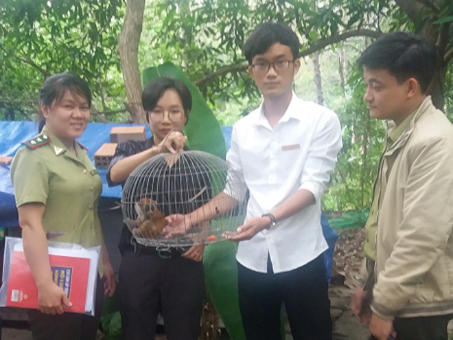 Bình Định: Thả 4 cá thể động vật rừng quý hiếm về tự nhiên  - ảnh 1