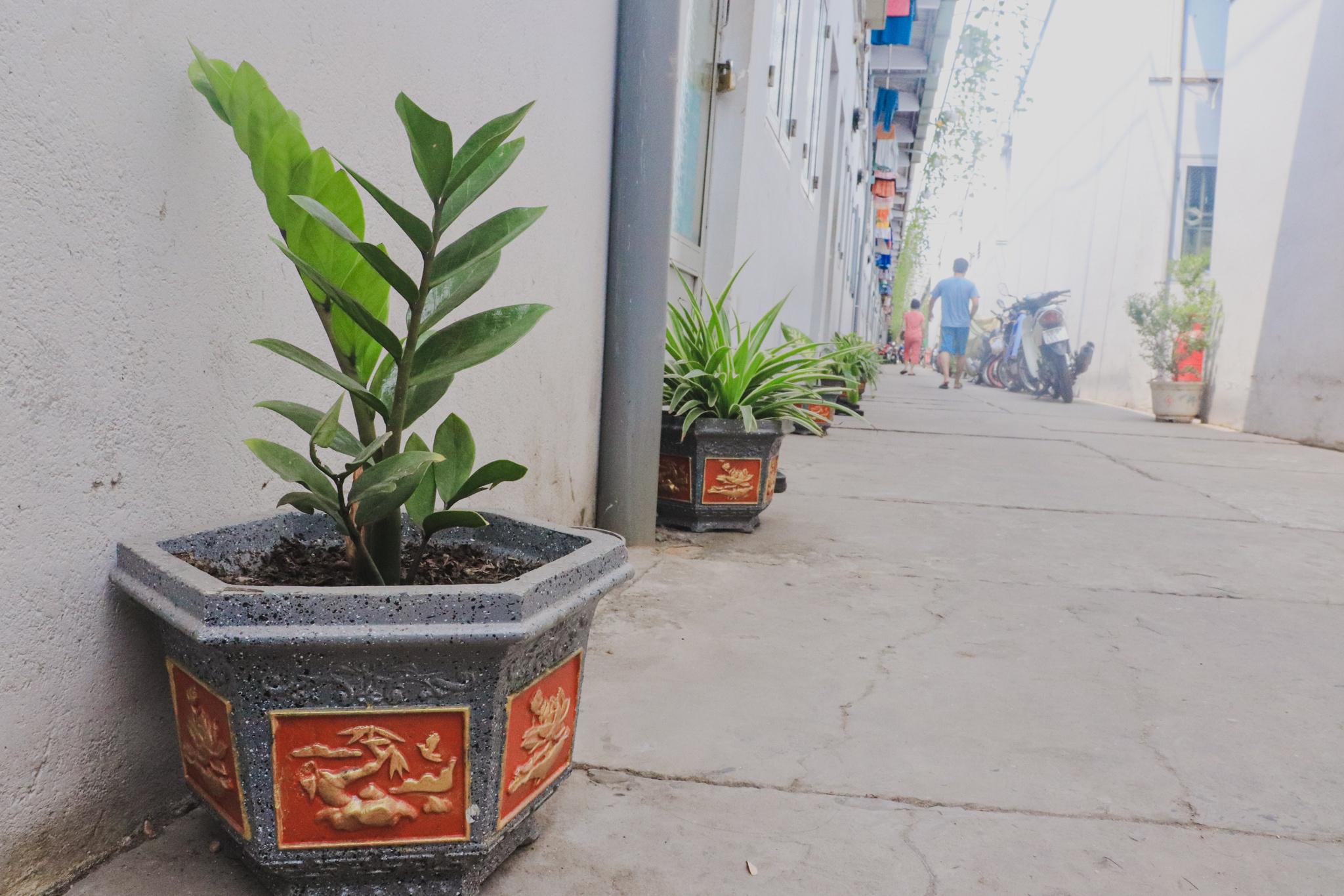 Nhà trọ 'độc, lạ' ở TP.HCM: Ông chủ quê Bình Định với độ chơi sộp miễn chê - ảnh 5