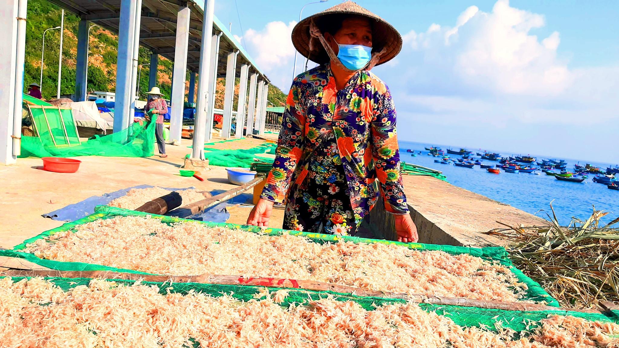 Bình Định: Cận tết, ngư dân trúng mùa ruốc, thu hàng chục triệu đồng/ngày - ảnh 1