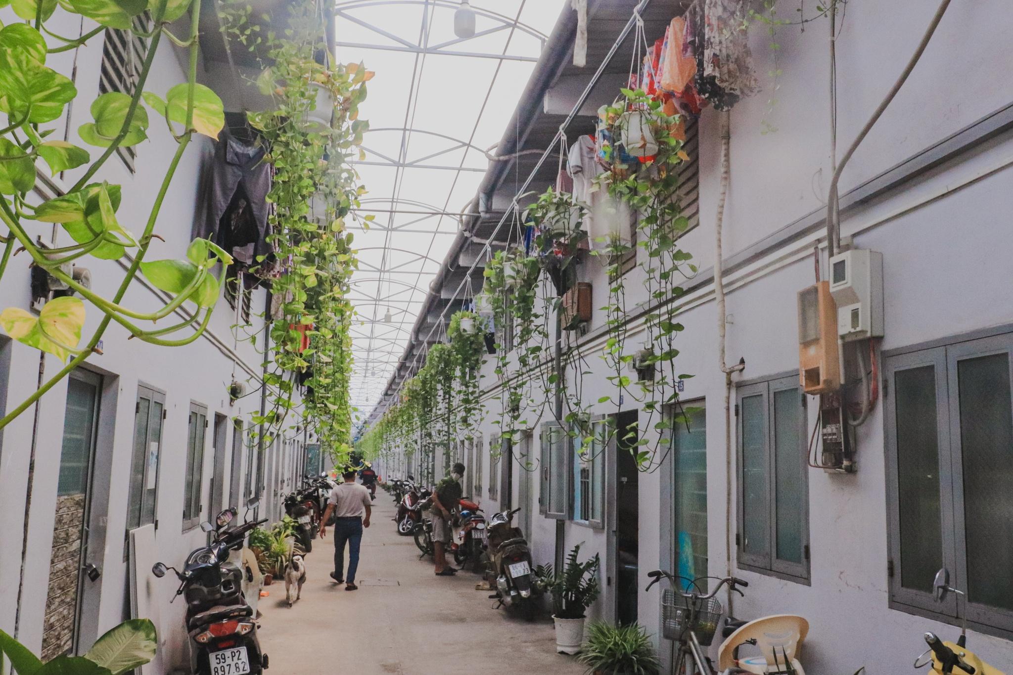 Nhà trọ 'độc, lạ' ở TP.HCM: Ông chủ quê Bình Định với độ chơi sộp miễn chê - ảnh 2