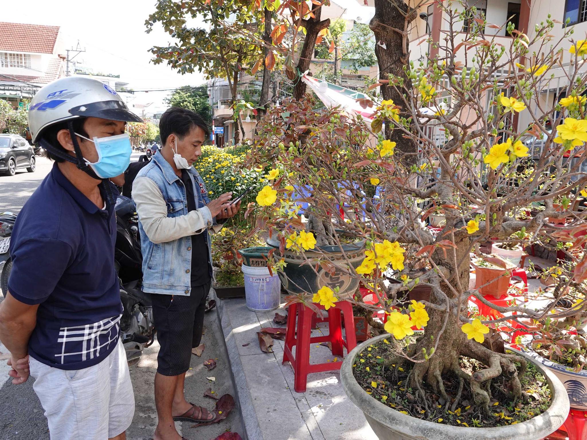 Bình Định: Tạo điều kiện thuận lợi cho người dân về quê nhân dịp Tết Nhâm Dần - ảnh 1