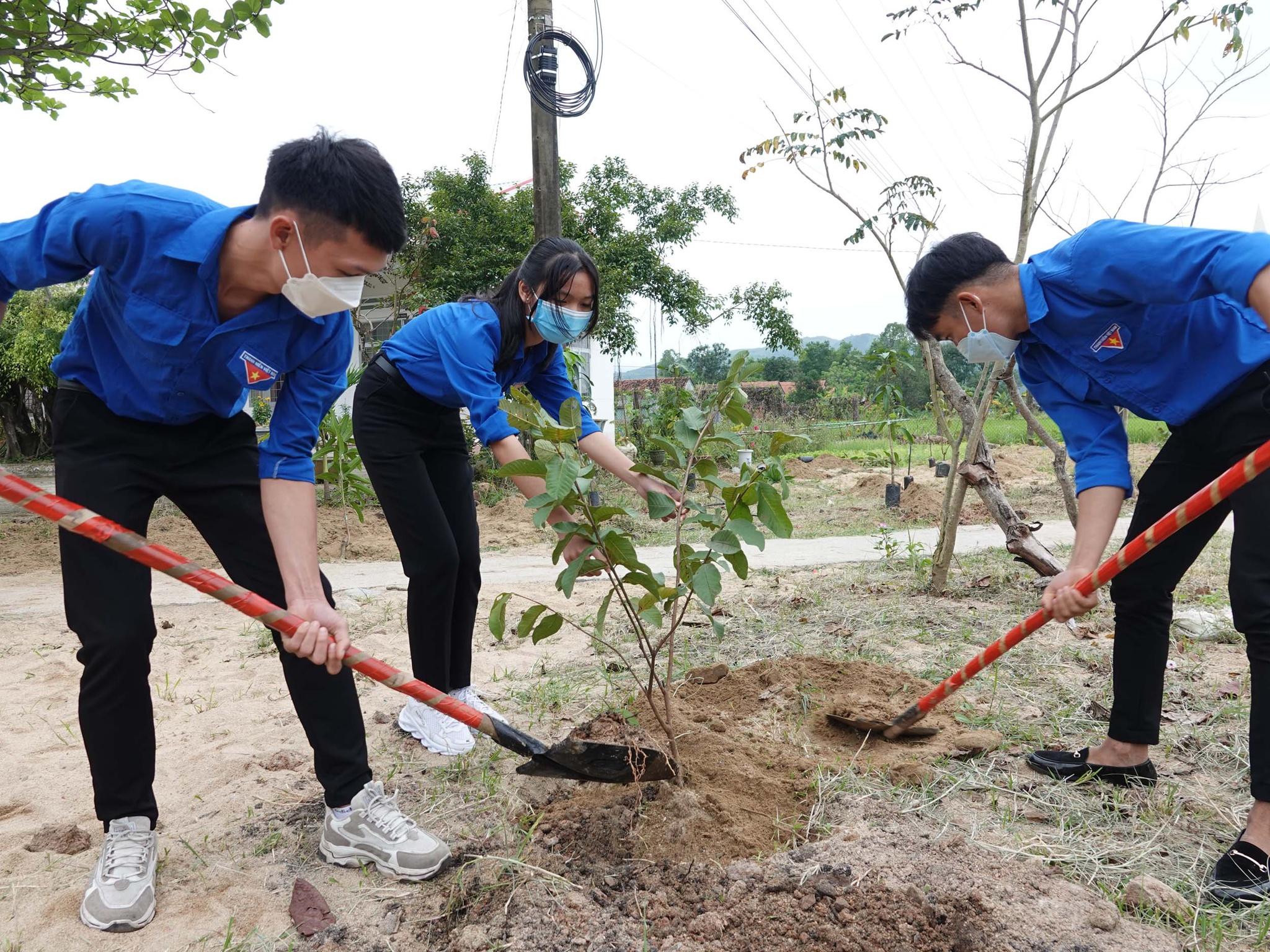 Tỉnh đoàn Bình Định ra quân Tháng Thanh niên năm 2022 - ảnh 6