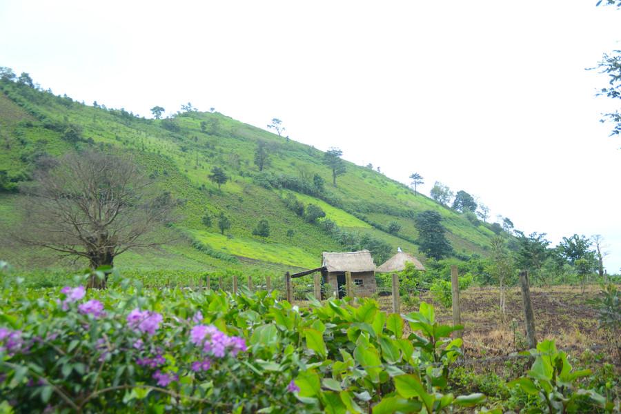 mot-goc-duoi-chan-nui-duoc-nguoi-dan-dung-nha-vach-dat-lop-tranh-de-phuc-vu-du-khach-check-in-4296.jpg