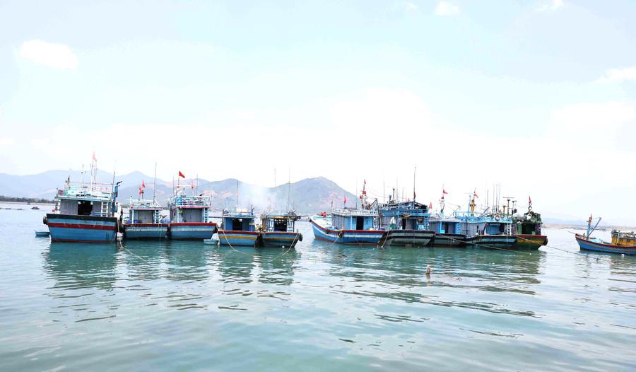 Việc giảm số lượng tàu thuyền nhỏ, đặc biệt là tàu khai thác ven bờ và chuyển đổi nghề cho ngư dân sẽ giảm áp lực khai thác, góp phần bảo vệ nguồn lợi. Ảnh: N.N ngu-dan.jpg