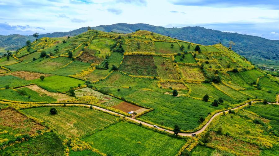 Mùa khô cũng là mùa đẹp nhất trong năm ở cao nguyên Gia Lai. Ảnh: Bi Ly img-3560.jpg