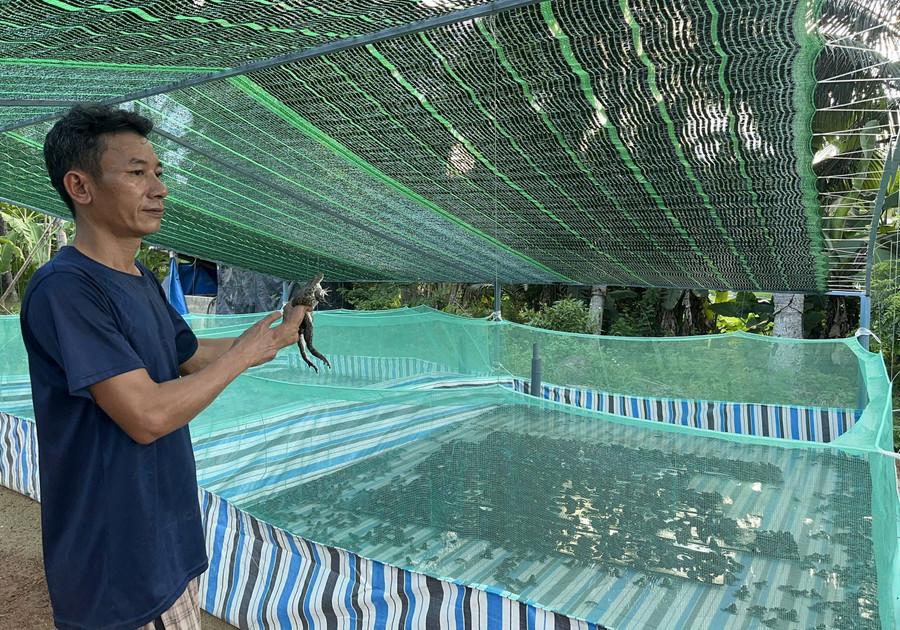 Ông Đào Văn Thái (phường Hoài Nhơn) quyết định bán tàu, chuyển sang đầu tư nuôi ếch. Ảnh: Diệp Bảo Sương chuyen-doi-nghe.jpg