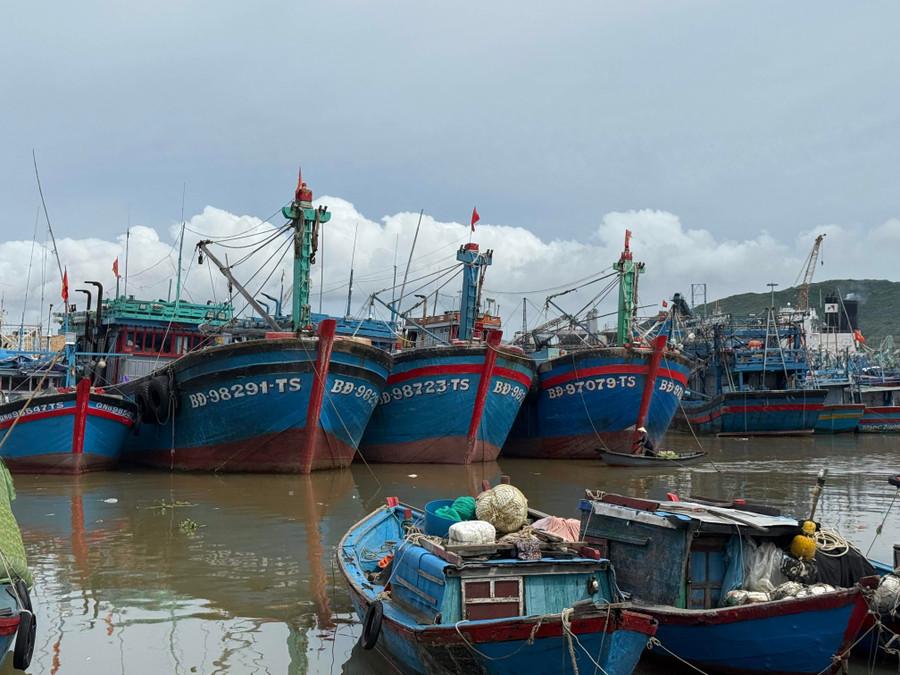 Tàu thuyền vào nơi neo đậu an toàn trước khi bão số 13 đổ bộ. Ảnh: P.V img-0588.jpg