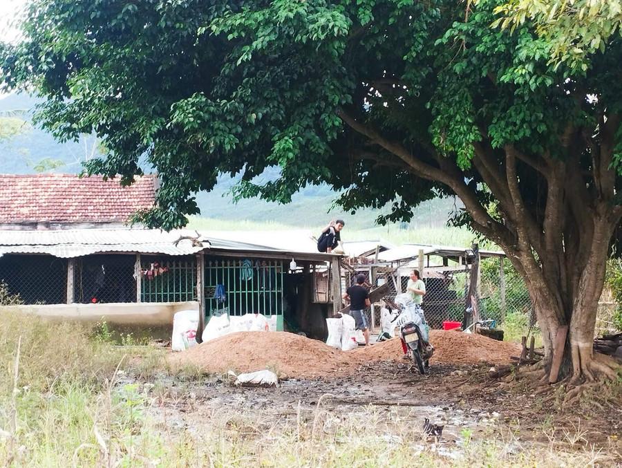 Ảnh: Minh Nguyễn kbang-4868.jpg