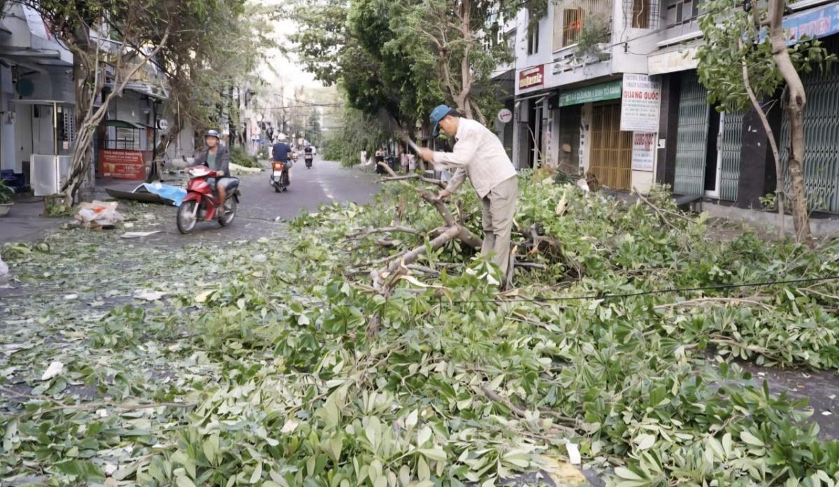 ngổn ngang sau bão, người dân gia lai thấy may mắn vì đã đề phòng cẩn thận hình ảnh 5 ngon ngang sau bao, nguoi dan gia lai thay may man vi da de phong can than hinh anh 5