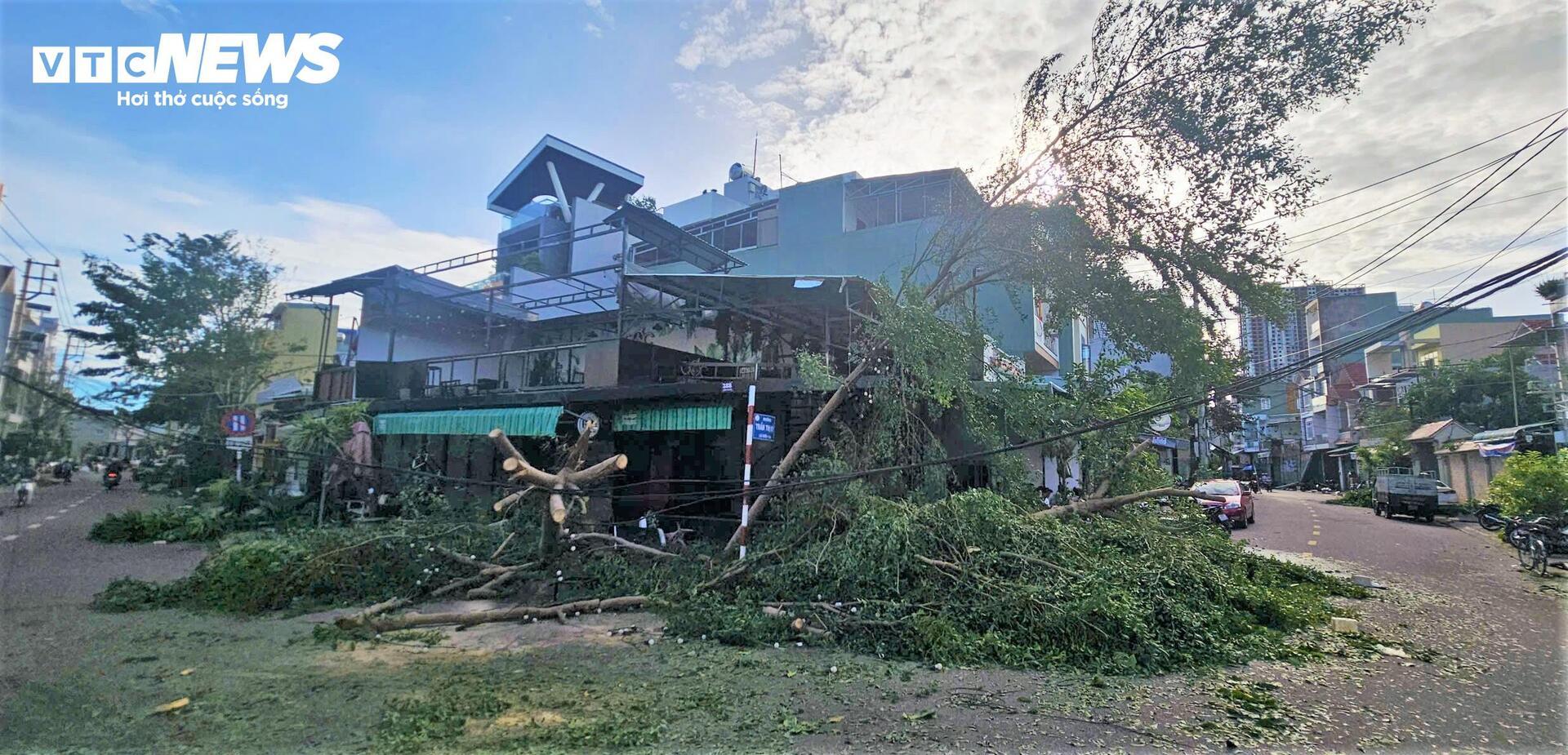 Gia Lai tan hoang sau bão Kalmaegi: Nhà tốc mái đổ sập, cây bật gốc hàng loạt - 10