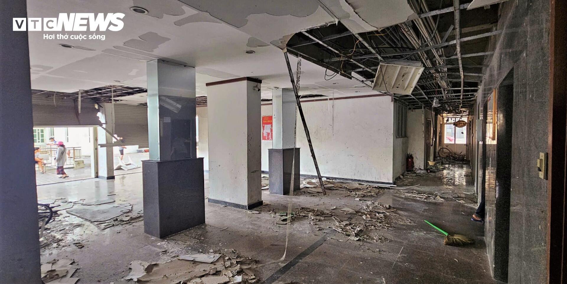 Gia Lai tan hoang sau bão Kalmaegi: Nhà tốc mái đổ sập, cây bật gốc hàng loạt - 3