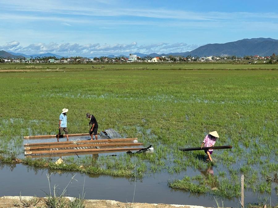 Người dân xã Tuy Phước thu dọn mái tôn bị hư hỏng sau bão. Ảnh: Thảo Khuy khuy.jpg