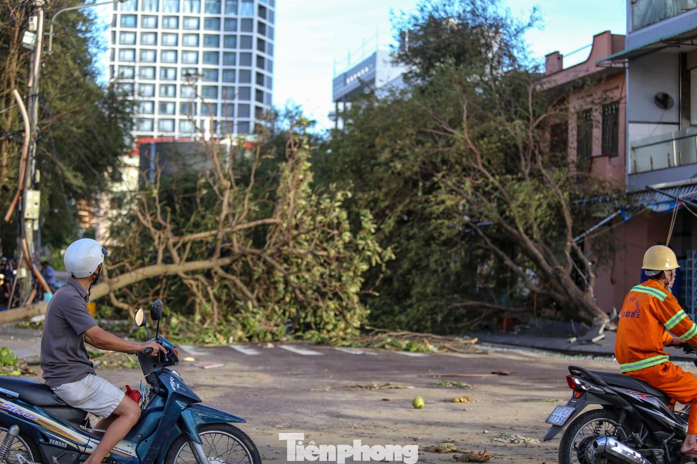 Cây xanh ngã đổ chắn ngang đường, gây cản trở giao thông. Ảnh: Trương Định. tp-29.jpg