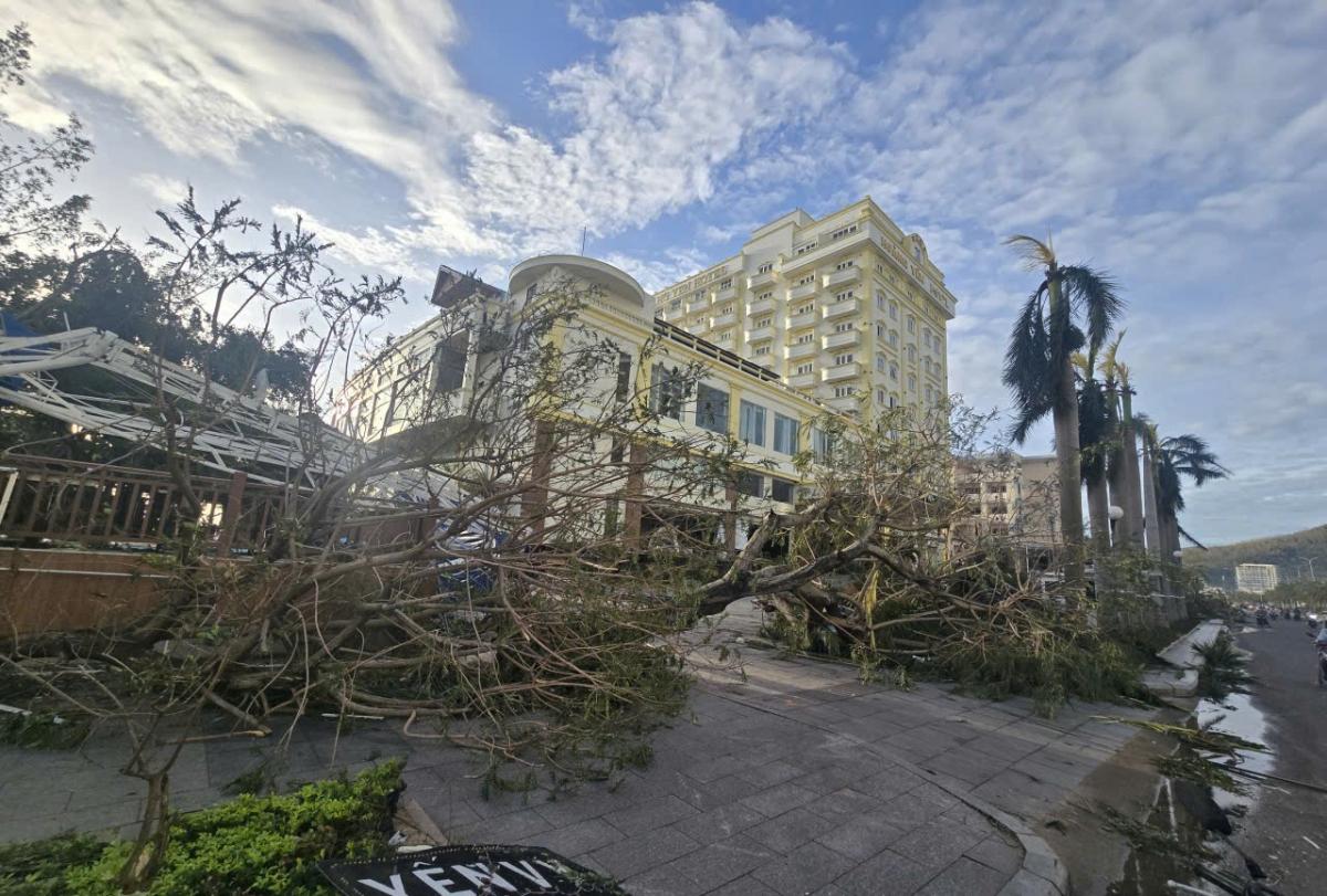 ngổn ngang sau bão, người dân gia lai thấy may mắn vì đã đề phòng cẩn thận hình ảnh 4 ngon ngang sau bao, nguoi dan gia lai thay may man vi da de phong can than hinh anh 4