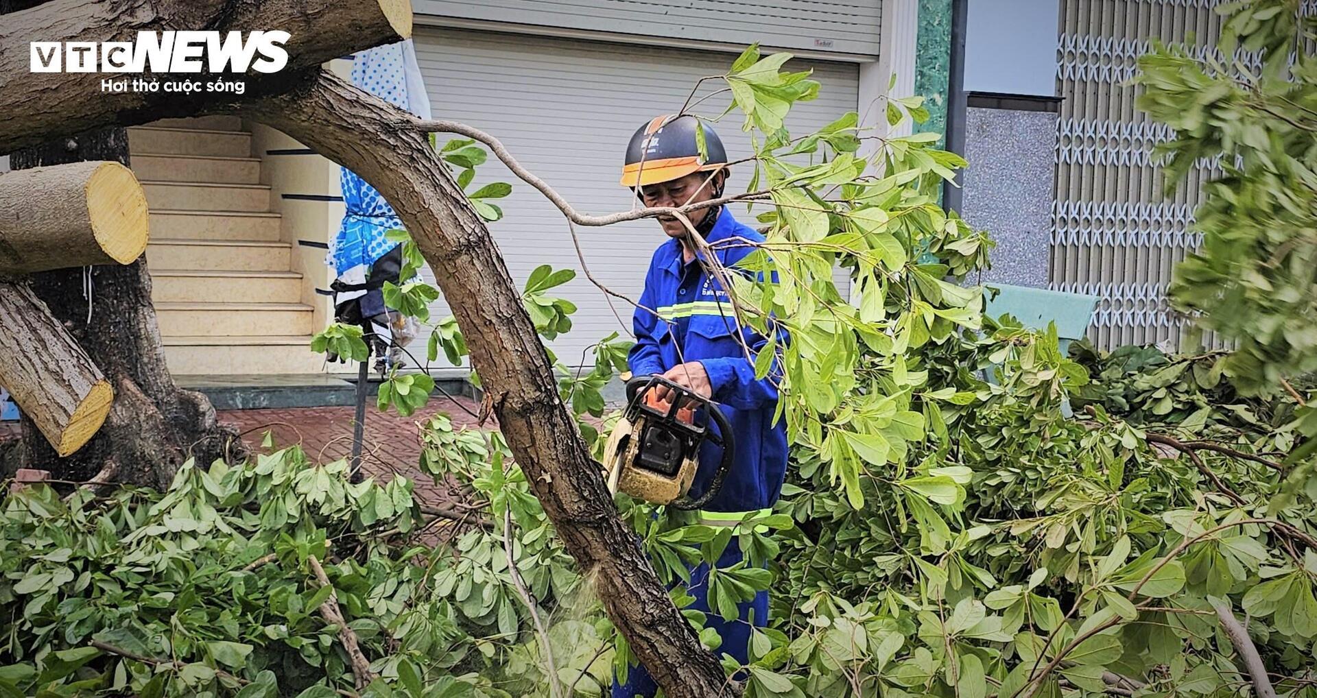 Gia Lai tan hoang sau bão Kalmaegi: Nhà tốc mái đổ sập, cây bật gốc hàng loạt - 14