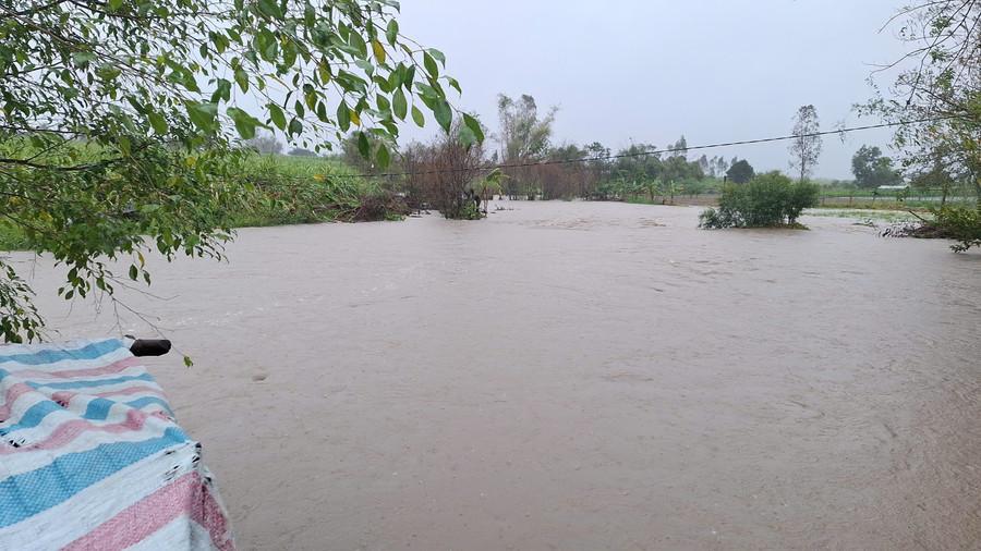 Tình hình ngập lụt tại tổ dân phố Tân Phong và TDP Tân Sơn, phường An Bình. Ảnh: H.N z7239709905566-2eeebbed4e0a17e89644ca6628478c5a.jpg