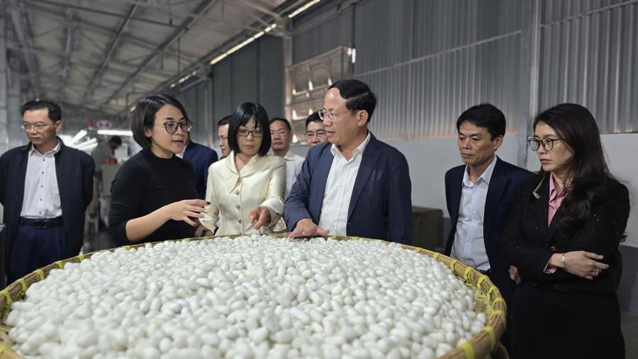 Chủ tịch UBND tỉnh Phạm Anh Tuấn và Phó Chủ tịch UBND tỉnh Nguyễn Thị Thanh Lịch kiểm tra quy trình ươm tơ, xem nhộng tằm tại cơ sở sản xuất. Ảnh: Bá Bính anh-1-chu-tich-ubnd-tinh-pham-anh-tuan-va-pho-chu-tich-ubnd-tinh-nguyen-thi-thanh-lich-kiem-tra-quy-trinh-uom-to-xem-nhong-tam-tai-co-so-san-xuat.jpg
