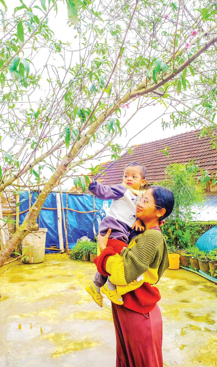 Với đồng bào Bana K’riêm ở Vĩnh Sơn, mỗi gốc đào là một phần đời sống, gắn với niềm tin về một năm mới an lành. Ảnh: Đoan Ngọc