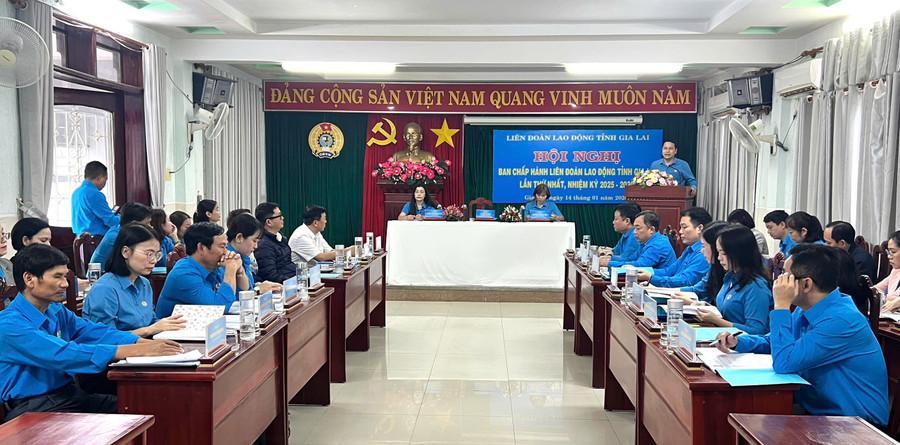 Quang cảnh hội nghị. Ảnh: Phan Tuấn hoi-nghi-ban-chap-hanh-lien-doan-lao-dong-tinh-lan-thu-nhat.jpg