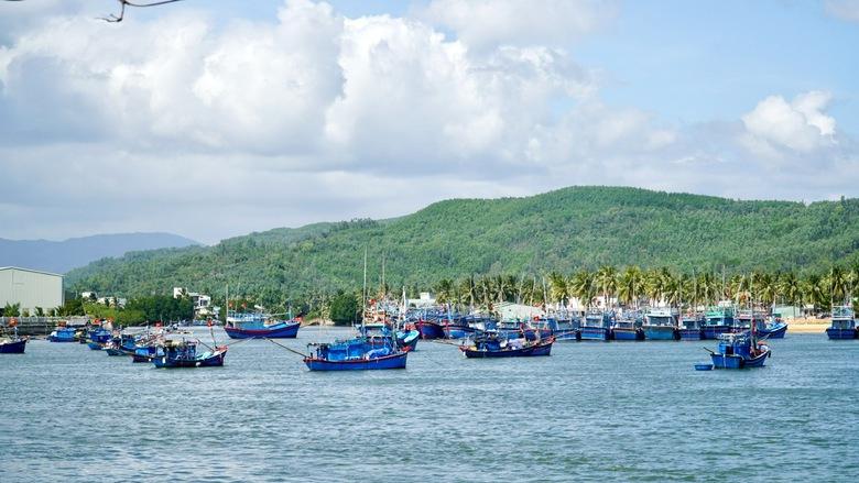 Gia Lai hỗ trợ giải bản tàu cá không đủ điều kiện hoạt động- Ảnh 1.
