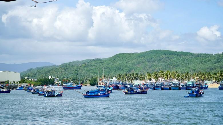 Gia Lai: Siết chặt quản lý tàu cá không đủ điều kiện, gắn trách nhiệm người đứng đầu - Ảnh 1.