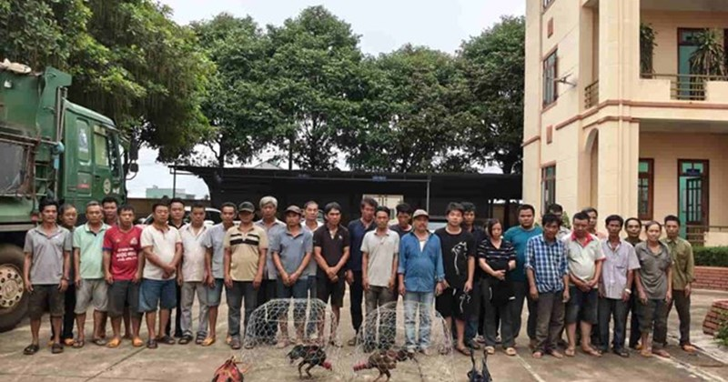 Vận động đối tượng cộm cán liên quan vụ đá gà đánh bạc ra đầu thú