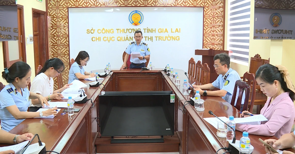 Gia Lai: Tiêu hủy hơn 3.000 sản phẩm là tang vật vi phạm hành chính