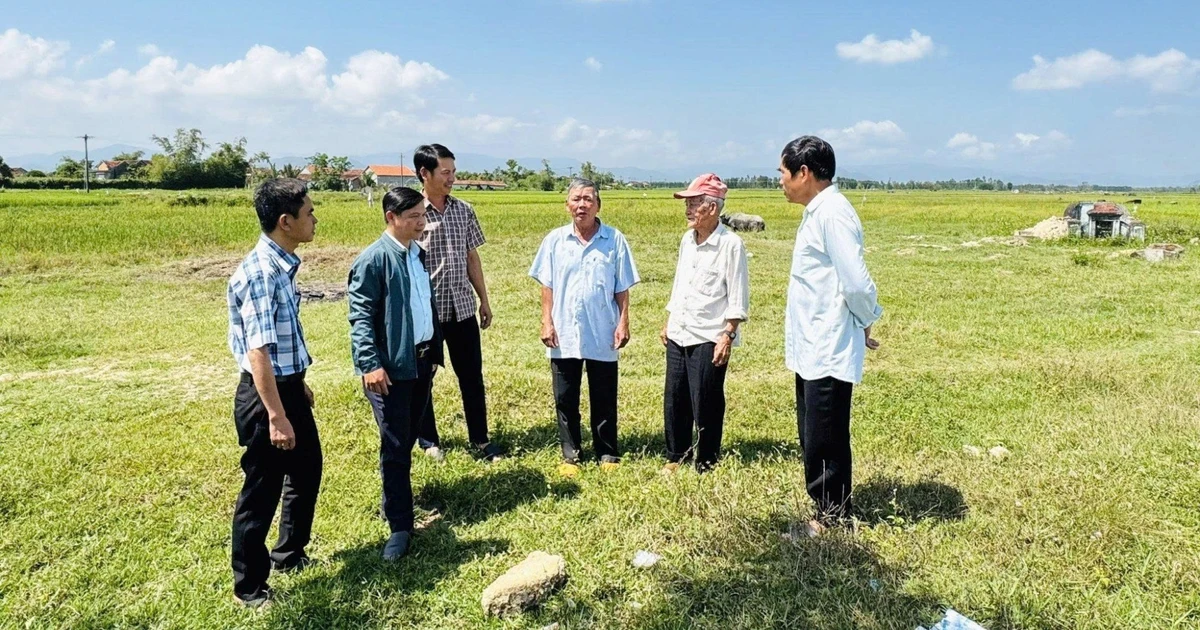 Bình Hiệp: Quả ngọt sau 1 năm vận hành chính quyền địa phương 2 cấp