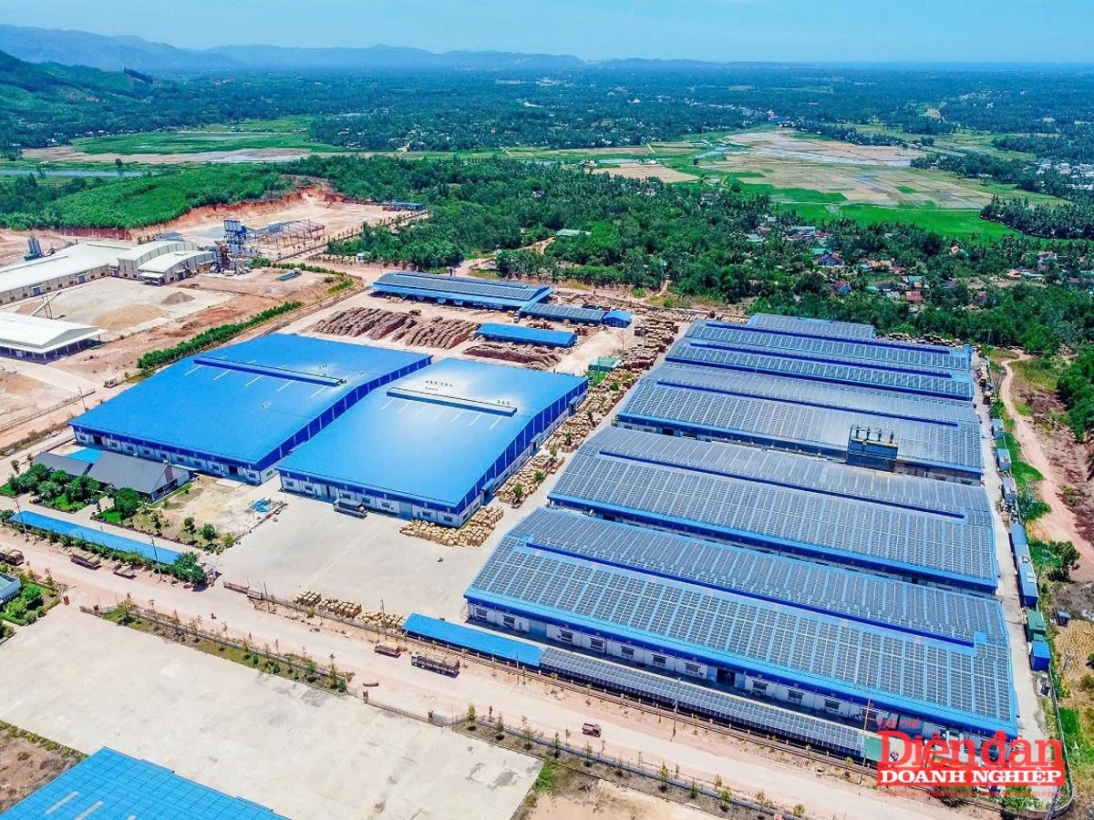 kcnbinhdinh-2-.jpg